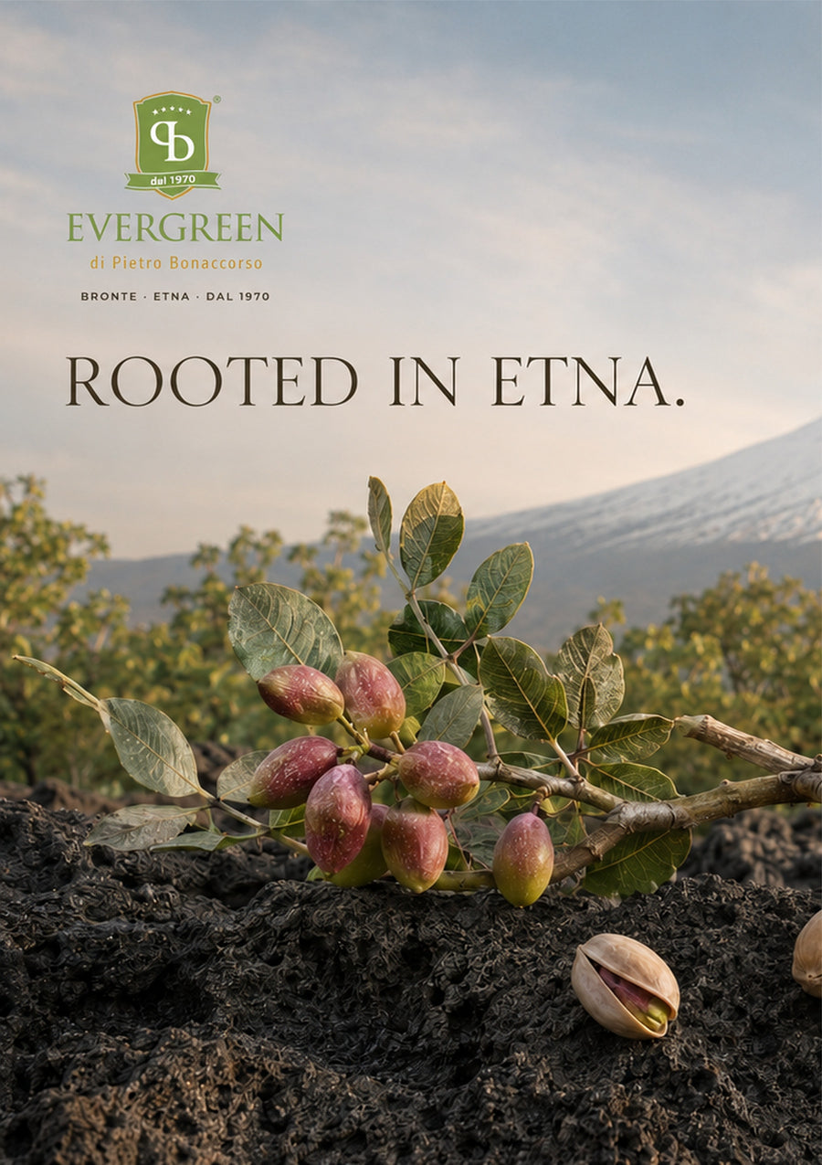 Zagara catalogue, page 34: Evergreen