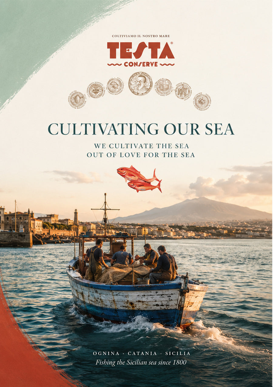 Zagara catalogue, page 52: Testa Conserve