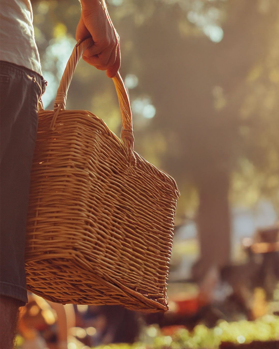 A wicker basket carried through an orchard in low afternoon light.