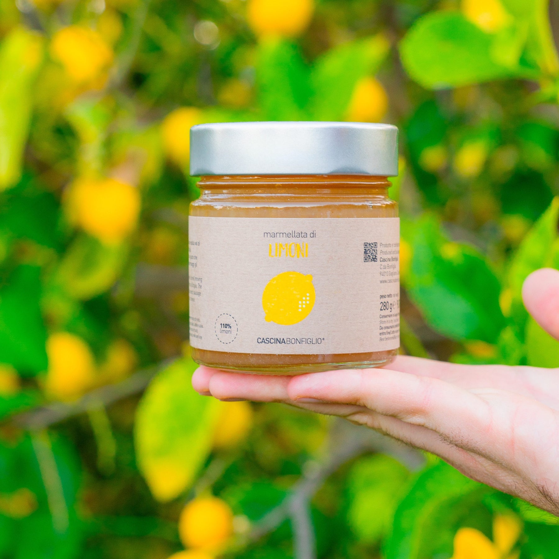 A hand holding a jar of Sicilian lemon marmalade among the fruit of a lemon tree
