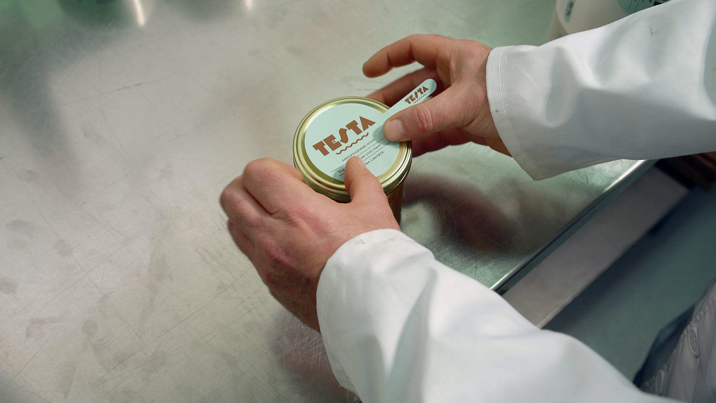 A gloved hand checking the printed label on a tin of Testa bluefin tuna in the plant