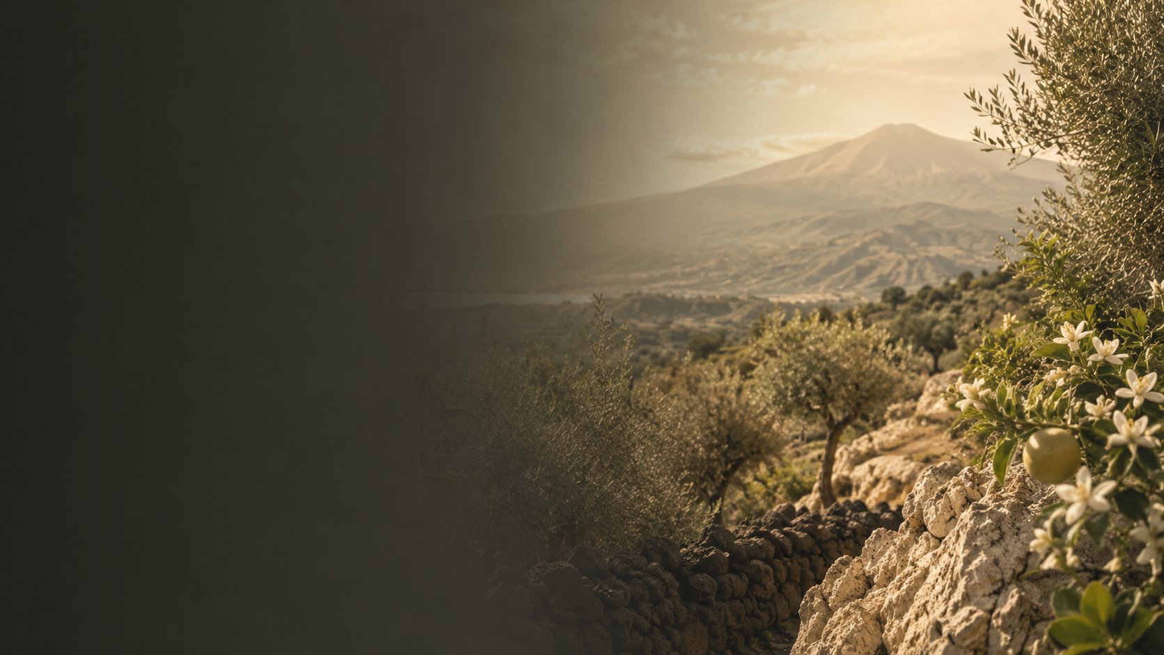 Sicily is something you taste, see, gift and live with.