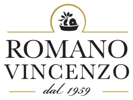 Romano Vincenzo logo